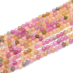 Tourmaline Natural Tourmaline Beads Strands, Faceted, Round, 2.5~3mm, Hole: 0.6mm, about 153~162 pcs/Strand, 15.35 inch(39cm).