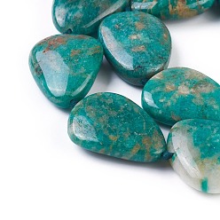 Amazonite Natural Amazonite Beads Strands, teardrop, 27~31x21~26x7~11mm, Hole: 1mm, about 14pcs/strand, 16.8 inch(42.8cm)