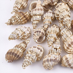 Antique White Electroplate Spiral Shell Pendants, with Iron Findings, Light Gold, Antique White, 26~42x13~20x12~17mm, Hole: 2mm