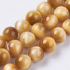 Gold Natural Tiger Eye Bead Strands, Round, Gold, 7.5~8.5mm, Hole: 0.5~1mm, about 48~51pcs/strand, 14.8 inch~15.63 inch(37.5~39.7cm)