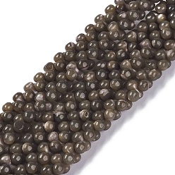 Coffee Natural Trochid Shell/Trochus Shell Beads Strands, Dyed, Round, Coffee, 6x3mm, Hole: 0.5mm, about 178pcs/strand, 15.47''(39.3cm)