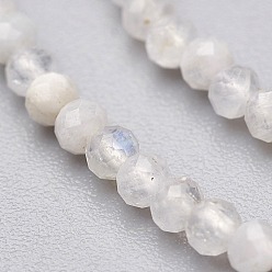 Rainbow Moonstone Natural Rainbow Moonstone Bead Strands, Faceted, Round, 3mm, Hole: 0.5mm, about 135pcs/strand, 15.5 inch