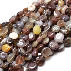 Botswana Agate Natural Botswana Agate Nuggets Beads Strands, Tumbled Stone, 9~12x8~13x5~7mm, Hole: 1mm, about 15.3 inch~15.7 inch