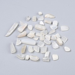White Moonstone Бусины из натурального белого лунного камня, нет отверстий / незавершенного, чип, 7~18x4~6x2~5 мм, Около 1388 шт / 500 г