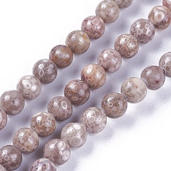 Maifanite Natural Maifanite/Maifan Stone Beads Strands, Dyed, Round, 6mm, Hole: 1mm, about 62~64pcs/strand, 15.2 inch~15.4 inch(38.5~39cm)