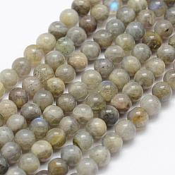 Labradorite Natural Labradorite Beads Strands, Grade A-, Round, 8mm, Hole: 1mm, about 49pcs/strand, 15.3 inch(39cm)
