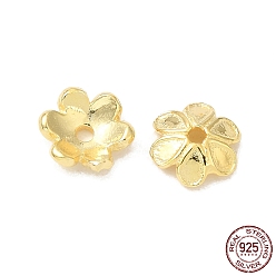 Real 18K Gold Plated 925 Sterling Silver Bead Caps, 6-Petal, Flower, Real 18K Gold Plated, 6x6.5x2mm, Hole: 1mm, about 50pcs/10g