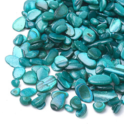 Dark Cyan Shell Beads, No Hole Beads, Dyed, Chip, Dark Cyan, 1~15x1~15x0.5~5mm, about 450g/bag