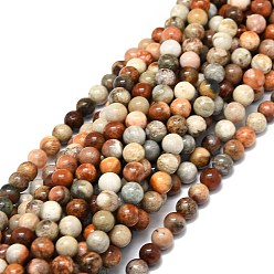 Fossil Coral Natural Fossil Coral Beads Strands, Round, 6mm, Hole: 1mm, about 67pcs/strand, 15.35''(39cm)