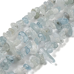 Aguamarina Perlas naturales de color turquesa hebras, chip, 1.5~5x3~13x2~8 mm, agujero: 0.6 mm, 30.94~31.97'' (78.6~81.2 cm)