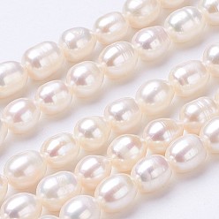 Seashell Color Natural Cultured Freshwater Pearl Beads Strands, Rice, Seashell Color, 7~8x6~7mm, Hole: 0.5mm, about 45~46pcs/strand, 13.8 inch(352mm)