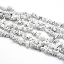 Howlite Chapelets de perles howlite naturelles , puces, 5~8x5~8mm, Trou: 1mm, environ 31.5 pouce