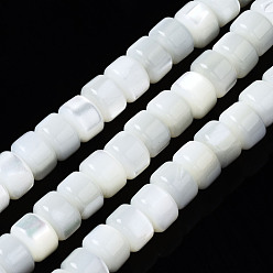 Color de la concha Hebras naturales de concha de troquídea / concha de troco, blanqueador, columna, color de concha, 6x4 mm, agujero: 0.8 mm, sobre 102~103 unidades / cadena, 15.94 pulgada (40.5 cm)