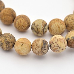 Picture Jasper Natural Picture Jasper Beads Strands, Frosted, Round, 10mm, Hole: 1mm, about 38pcs/strand, 15.3 inch
