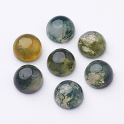Moss Agate Natural Moss Agate Cabochons, Half Round/Dome, Sea Green, 8x4mm