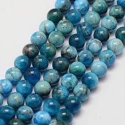 Apatite Natural Apatite Beads Strands, Round, 6.5mm, Hole: 1mm, about 62pcs/strand, 15.7 inch