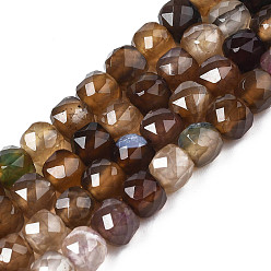 Coconut Brown Natural Agate Beads Strands, Faceted, Dyed, Faceted, Cube, Coconut Brown, 5x5.5x5.5mm, Hole: 1mm, about 61~62pcs/strand, 12.20 inch~12.40 inch(31~31.5cm)