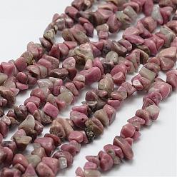 Pink Natural Rhodonite Beads Strands, Chip, Pink, 3~5x7~13x2~4mm, Hole: 0.4mm, 32 inch