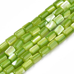 Yellow Green Natural Trochid Shell/Trochus Shell Beads Strands, Dyed, Column, Yellow Green, 4~5x3~3.5mm, Hole: 0.9mm, about 77~78pcs/strand, 15.55 inch~15.75 inch(39.5~40cm)
