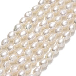 Lino Hilos de perlas de agua dulce cultivadas naturales, arroz, lino, 4~4.5x3~3.5 mm, agujero: 0.5 mm, sobre 81~82 unidades / cadena, 14.57'' (37 cm)
