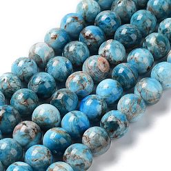 Apatite Natural Apatite Beads Strands, Round, 9.5~10.5mm, Hole: 1mm, about 40pcs/strand, 15.71 inch(39.9cm)