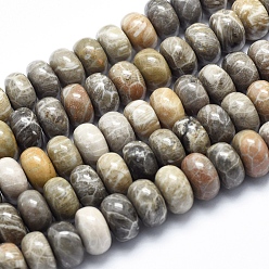Fossil Coral Natural Fossil Coral Beads Strands, Rondelle, 12x7~8mm, Hole: 1mm, about 55pcs/strand, 15.7 inch