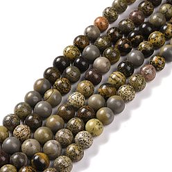 Mixed Color Natural Dendritic Jasper Beads Strands, Chohua Jasper, Round, Mixed Color, 8mm, Hole: 1mm, about 49pcs/strand, 15.4 inch