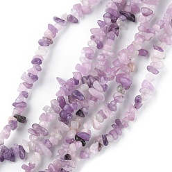 Lilac Jade Natural Lilac Jade Beads Strands, Chip, 1.5~4.5x3~13x2.5~8mm, Hole: 0.6mm, 30.94~31.97 inch(78.6~81.2cm)
