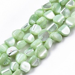 Light Green Natural Trochid Shell/Trochus Shell Beads Strands, Dyed, Nuggets, Light Green, 7.5~10.5x6.5~9.5x4~9mm, Hole: 0.8mm, about 48~49pcs/strand, 15.16 inch~15.75 inch(38.5~40cm)