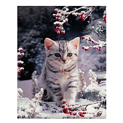 Coloré Kits de peinture de diamant de chat diy, y compris la toile, strass de résine, stylo collant diamant, plaque de plateau et pâte à modeler, cat, colorées, 400x300mm