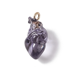 Dark Slate Blue Transparent Resin Pendants, Anatomical Heart Charms, with Golden Plated Iron Loops, Dark Slate Blue, 20.5~21.5x11.5x11mm, Hole: 2mm