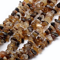 Natural Agate Natural Agate Beads Strands, Dyed & Heated, Chip, 5~8mm, Hole: 1mm, about 33 inch(84cm)