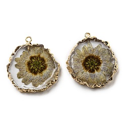 Tan Inner Dried Flower Resin Pendants, Flat Round Charms with Light Gold Plated Brass Edge and Iron Loops, Tan, 34~36x30~31.5x4.5~5.5mm, Hole: 2mm