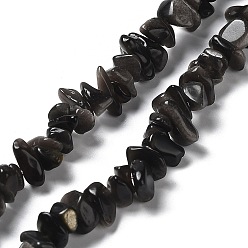 Obsidian Natural Silver Sheen Obsidian Chip Beads Strands, 1~8x5~17x5~8mm, Hole: 0.9~1mm, 30.31~31.50''(77~80cm)