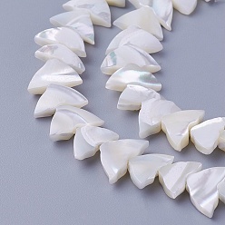 Other Sea Shell Shell Beads Strands, Triangle, 5.7~8.1x11~12x3~3.3mm, Hole: 0.7mm, about 62pcs/strand, 15.9 inch(40.4cm)