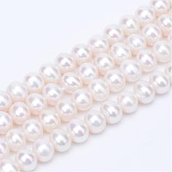 Floral White Natural Cultured Freshwater Pearl Beads Strands, Round, Floral White, 5~5.5mm, Hole: 0.8mm, about 63~65pcs/strand, 14 inch