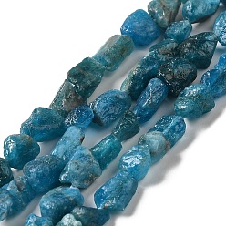 Apatite Brins de perles d'apatite naturelle brute brute, nuggets, 4.5~12x4.5~8x4~8mm, Trou: 0.9mm, Environ 63~66 pcs/chapelet, 15.47''~16.34'' (39.3~41.5 cm)