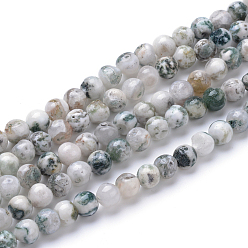 Tree Agate Natural Tree Agate Bead Strands, Round, 4mm, Hole: 0.5mm, about 106pcs/strand, 15.7 inch