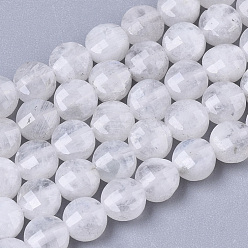 Rainbow Moonstone Natural Rainbow Moonstone Beads Strands, Flat Round, Faceted, 4x2.5mm, Hole: 0.7mm, about 100pcs/Strand, 15.35 inch(39cm)