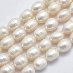 Beige Natural Cultured Freshwater Pearl Beads Strands, Oval, Beige, 7~8x6~7mm, Hole: 0.8mm, about 46pcs/strand, 14 inch(35.5cm)
