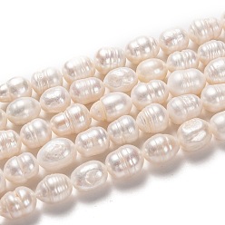 Bisque Natural Cultured Freshwater Pearl Beads Strands, Rice, Bisque, 12~13.5x9~10mm, Hole: 0.7mm, about 30pcs/strand, 14.17 inch(36cm)