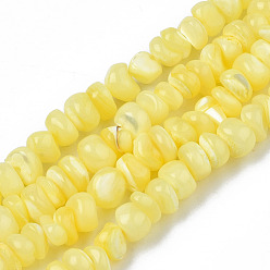 Yellow Natural Sea Shell Beads Strands, Dyed, Chips, Yellow, 2~7x5~7.5x4.5~7mm, Hole: 0.5~0.7mm, about 97~105pcs/strand, 15.55 inch~15.98 inch(39.5cm~40.6cm)