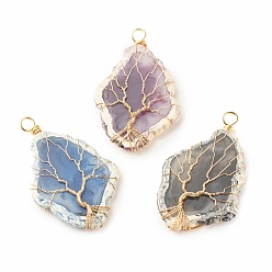 Golden 3Pcs 3 Colors Resin Big Pendants Set, with Copper Wire Wrapped, Imitation Gemstone, Rhombus with Tree, Golden, 66~68x42.5~43x7.5mm, Hole: 5.5mm, 1pc/color