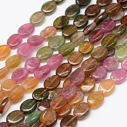 Tourmaline Natural Tourmaline Beads Strands, Oval, 8x6x3.5mm, Hole: 1mm, about 61~62pcs/strand, 15.3 inch(39cm)