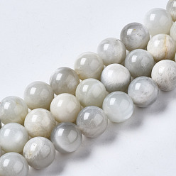 White Moonstone Natural White Moonstone Beads Strands, Round, 10mm, Hole: 0.9mm, about 37~38pcs/strand, 15.12 inche~15.35 inche(38.4~39cm)