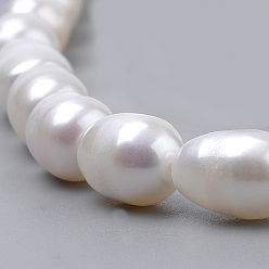 Seashell Color Natural Pearl Beaded Necklaces, with Brass Lobster Claw Clasps and Iron Ring, Seashell Color, 19.59 inch(480mm)