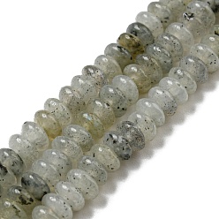 Labradorite Natural White Labradorite Beads Strands, Rondelle, 4~4.5x2~2.5mm, Hole: 1.2mm, about 155~163pcs/strand, 15.24''~15.31''(38.7~38.9cm)