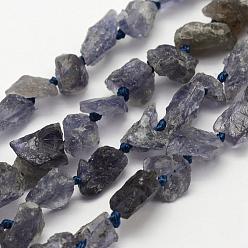 Cyanite Brins de perles de kyanite / cyanite / disthène naturels bruts et naturels, nuggets, 5~10x5~8mm, Trou: 1mm, Environ 49~53 pcs/chapelet, 15.7 pouce (39.9 cm)