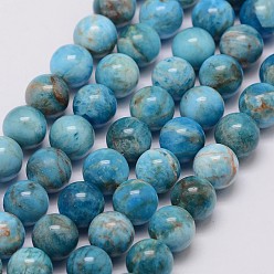 Apatite Perles naturelles apatite brins, ronde, 8mm, Trou: 1mm, Environ 48~50 pcs/chapelet, 15.7 pouce