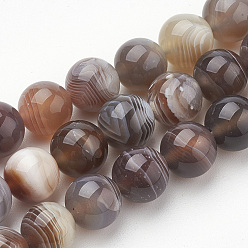 Botswana Agate Natural Botswana Agate Beads Strands, Dyed, Round, 8mm, Hole: 1mm, about 50pcs/strand, 15.7 inch